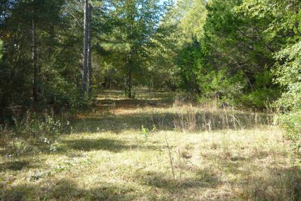 Riverfront Property in Covington County, Alabama