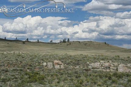 Farm and Ranch in Park County, Colorado