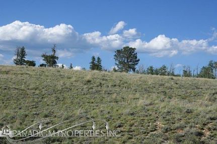 Farm and Ranch in Park County, Colorado