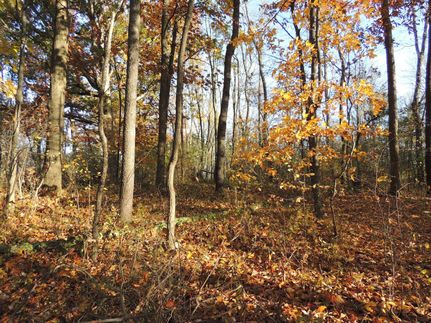 Farm and Ranch in Licking County, Ohio