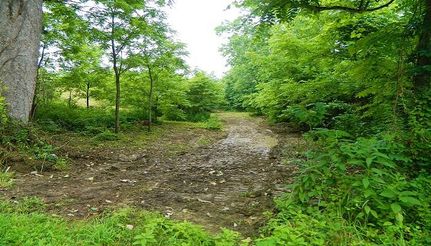 Recreational Property in Vinton County, Ohio