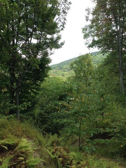 Farm and Ranch in Mifflin County, Pennsylvania