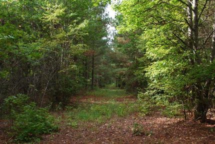 Land in Union County, South Carolina