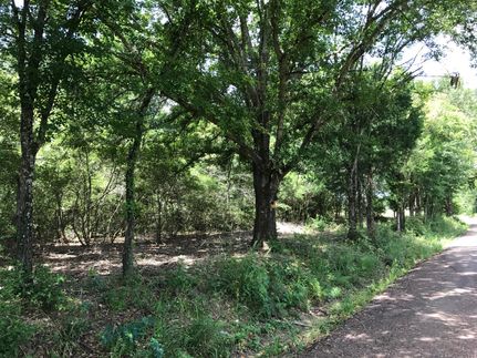 Farm and Ranch in Freestone County, Texas