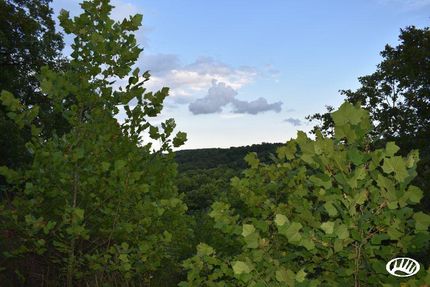 Land in Laclede County, Missouri