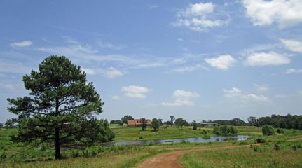 Farm and Ranch in Henderson County, Texas