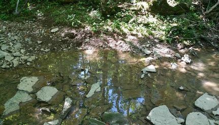 Farm and Ranch in Adams County, Ohio