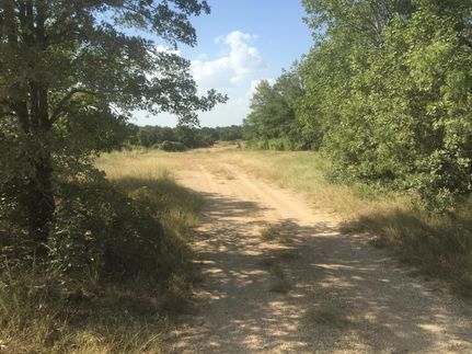 Farm and Ranch in Milam County, Texas