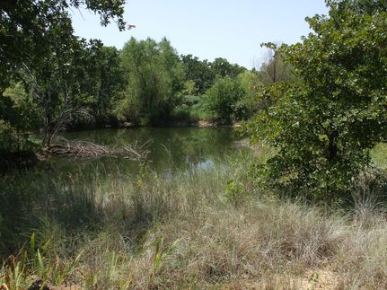 Farm and Ranch in Montague County, Texas