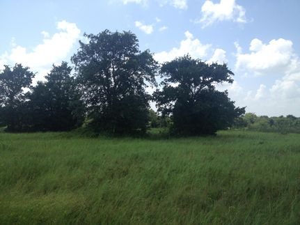 Farm and Ranch in Milam County, Texas