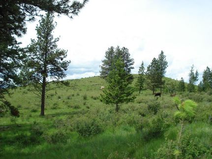 Land in Ferry County, Washington