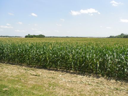 Farm and Ranch in Montgomery County, Kansas