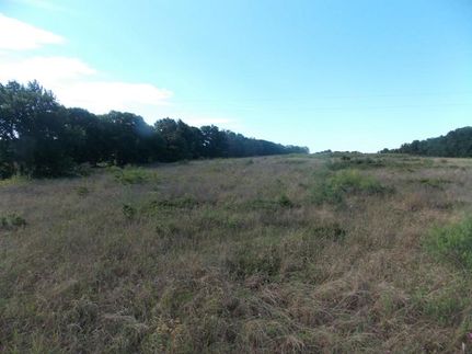 Farm and Ranch in Lee County, Texas