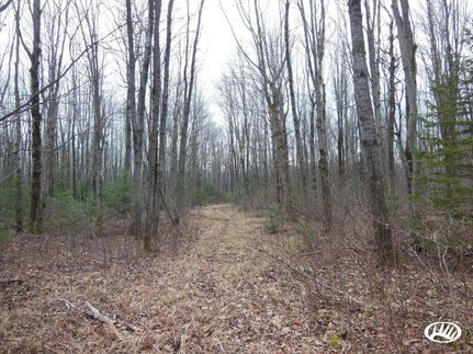 Undeveloped Land in Langlade County, Wisconsin