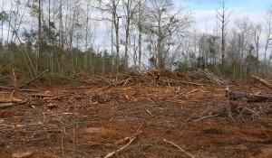 Land in Autauga County, Alabama