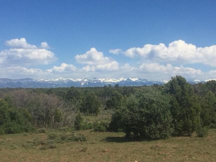 Commercial Property in Montrose County, Colorado