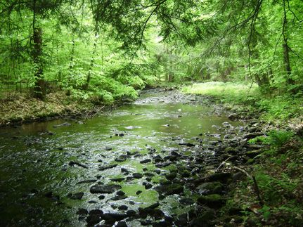 Oceanfront Property in Oneida County, New York
