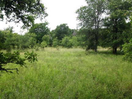 Farm and Ranch in Milam County, Texas