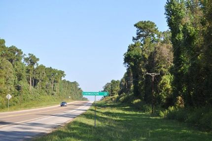Timberland Property in Liberty County, Texas