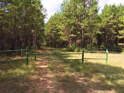 Timberland Property in Anderson County, Texas