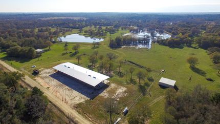 Undeveloped Land in Grimes County, Texas