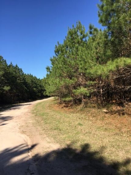 Undeveloped Land in Trinity County, Texas