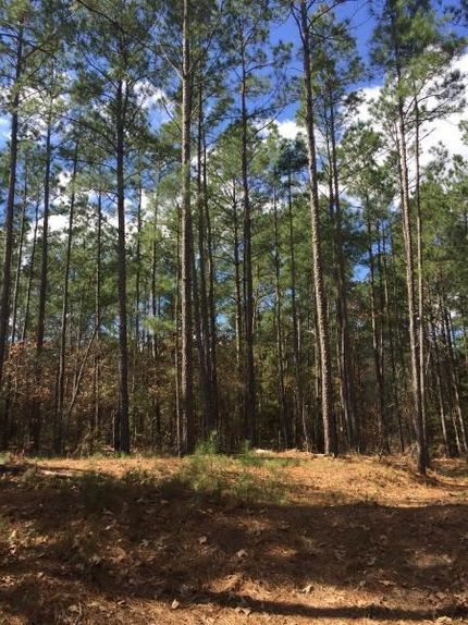 Land in Polk County, Texas