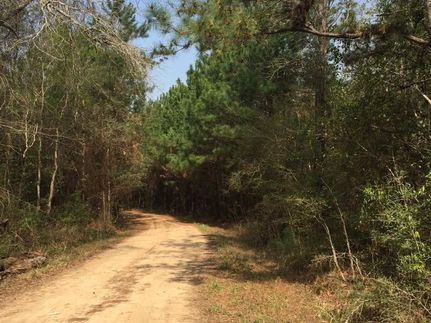 Undeveloped Land in Liberty County, Texas