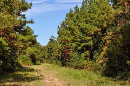 Undeveloped Land in Liberty County, Texas