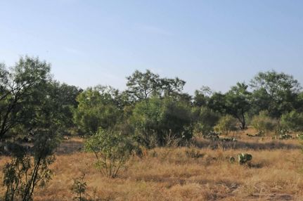 Farm and Ranch in Llano County, Texas