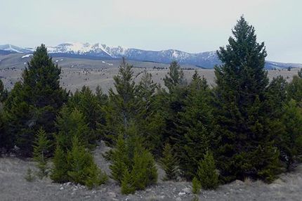 Timberland Property in Deer Lodge County, Montana