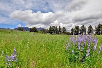 Recreational Property in Gallatin County, Montana