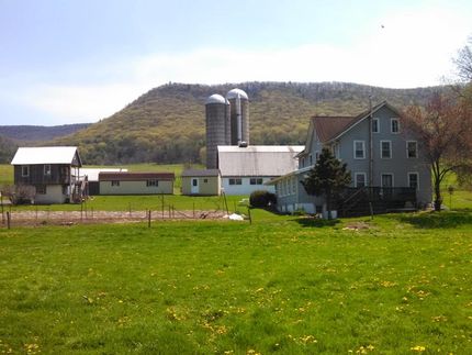 Farm and Ranch in Clinton County, Pennsylvania