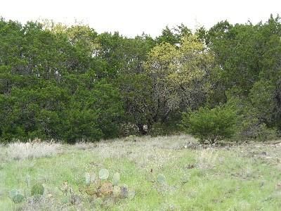Farm and Ranch in Edwards County, Texas
