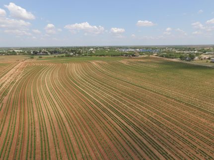 Undeveloped Land in Jones County, Texas