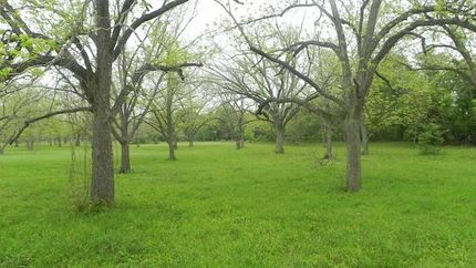 Recreational Property in Freestone County, Texas