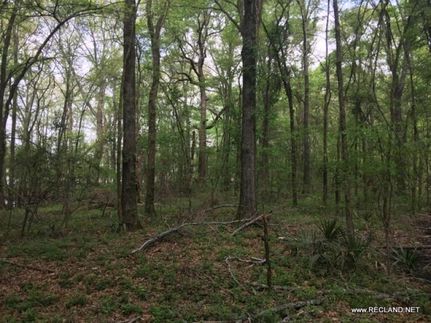Waterfront Property in Morehouse Parish, Louisiana