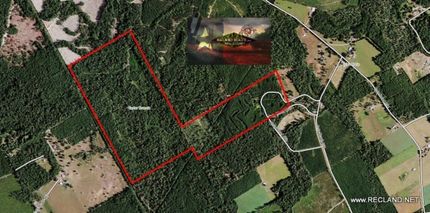 Timberland Property in Jasper County, Texas