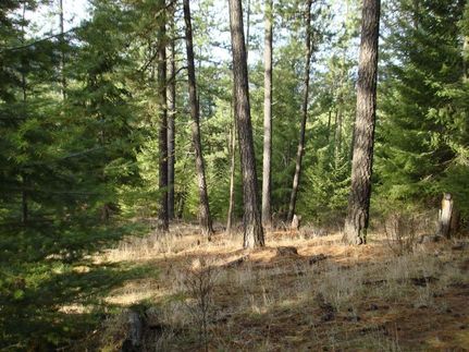 Timberland Property in Kootenai County, Idaho