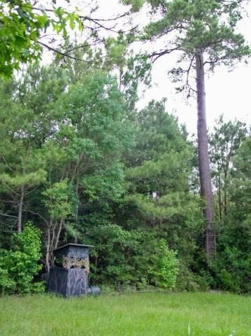 Farm and Ranch in Jefferson County, Florida