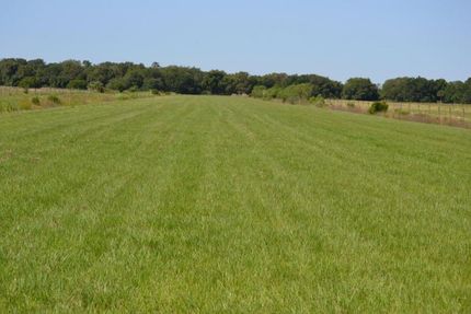 Undeveloped Land in Osceola County, Florida