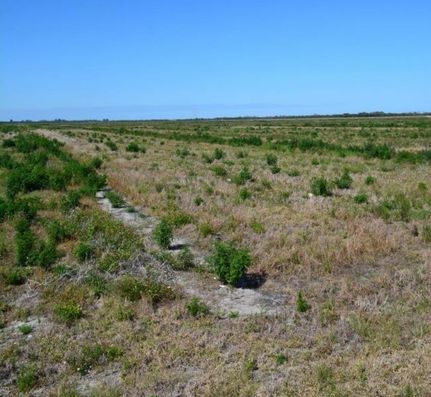 Undeveloped Land in Saint Lucie County, Florida