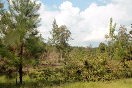 Commercial Property in Tangipahoa Parish, Louisiana