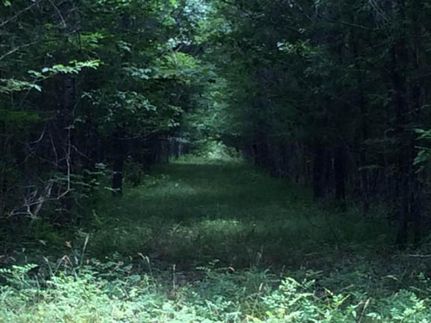 Farm and Ranch in Grenada County, Mississippi