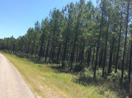Land in Pearl River County, Mississippi