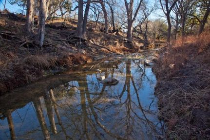 Undeveloped Land in Blanco County, Texas