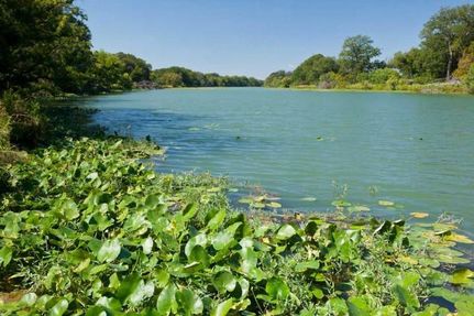 Undeveloped Land in Menard County, Texas