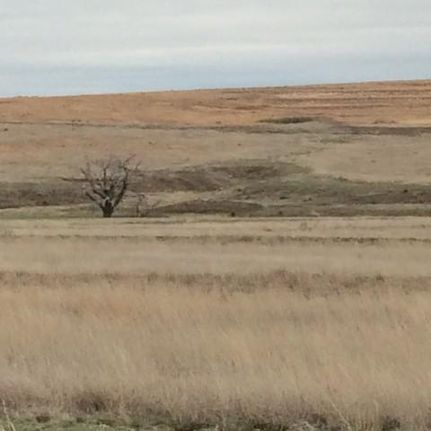 Farm and Ranch in Lipscomb County, Texas