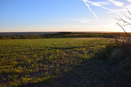Undeveloped Land in Armstrong County, Texas
