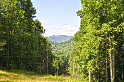Undeveloped Land in Madison County, North Carolina